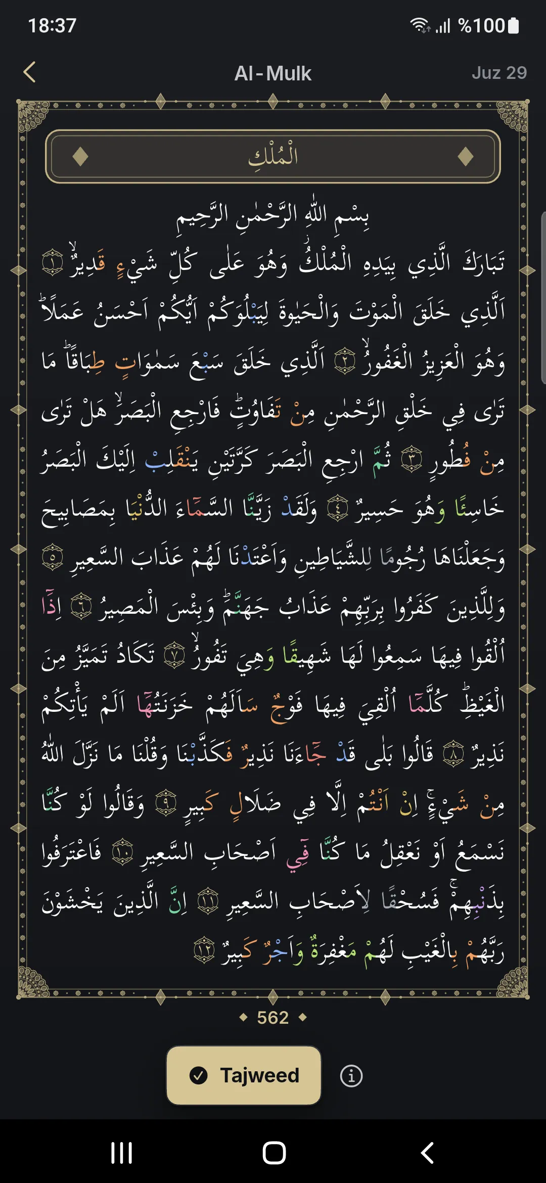 A mushaf page in İhya